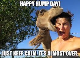 Wednesday Memes