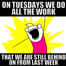 hilarious tuesday memes
