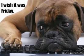 Funny Wednesday Meme