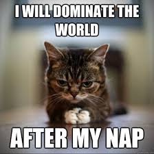 download 15 Funny Friday Memes