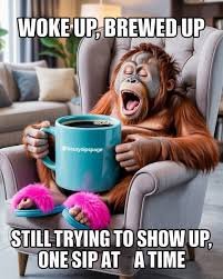 Hilarious Tuesday Memes