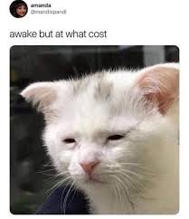 Wednesday Memes