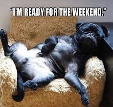 download 18 Funny Friday Memes