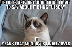 Hilarious Tuesday Memes