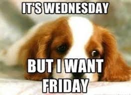 Wednesday Meme