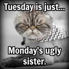Hilarious Tuesday Memes