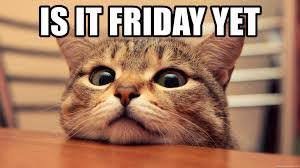 Happy Monday Memes