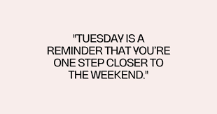 hilarious tuesday memes