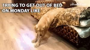 Happy Monday Memes