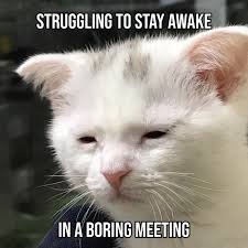 Hilarious Tuesday Memes