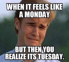Tuesday Memes