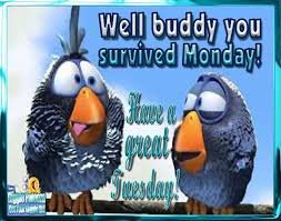 Hilarious Tuesday Memes