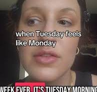 hilarious tuesday memes