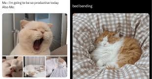 hilarious tuesday memes