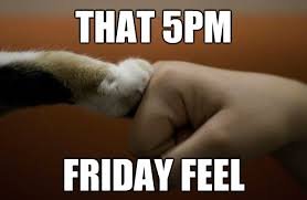 download 28 Funny Friday Memes