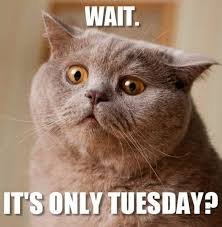 Hilarious Tuesday Memes