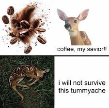 Wednesday Memes