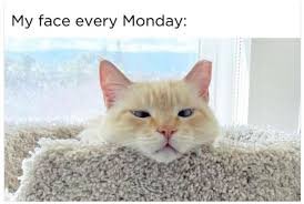 Happy Monday Memes