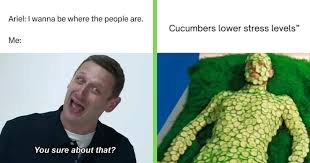 Wednesday Meme