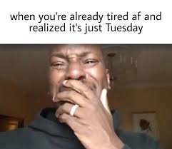 hilarious tuesday memes