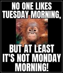 Hilarious Tuesday Memes