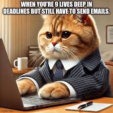 Hilarious Tuesday Memes