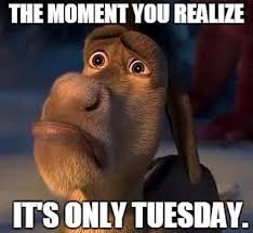 Tuesday Memes