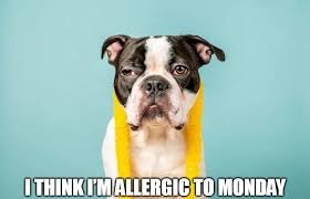Happy Monday Memes