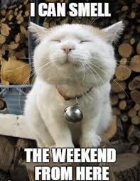 download 49 Funny Friday Memes
