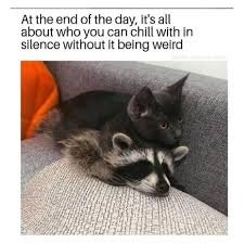 download 5 Saturday Memes