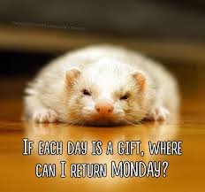 Happy Monday Memes