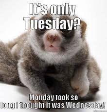 Hilarious Tuesday Memes