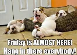download 8 Funny Friday Memes