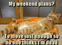 download 9 Funny Friday Memes