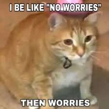 download 9 Saturday Memes