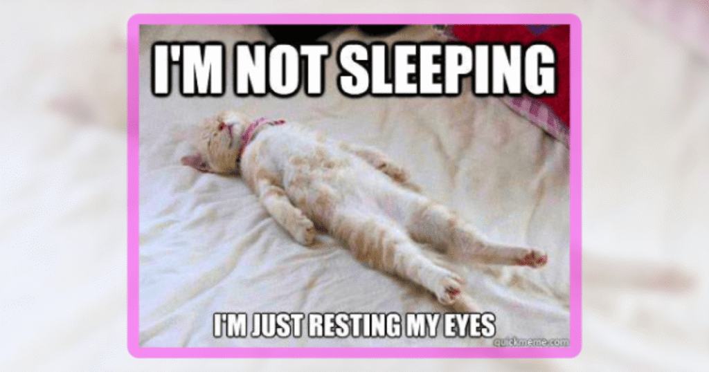 21-cat-memes-thumbnail-includes-one-meme-including-im-not-sleeping-im-just-resting-my-eyes
