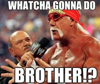 226cbb48fc41fb98ac6b2e17e3480165 Hulk Hogan Meme