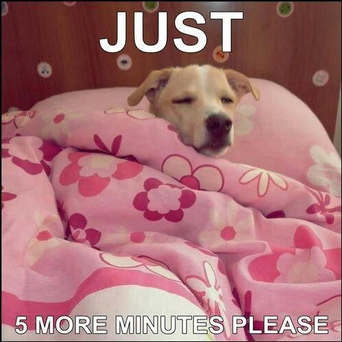 26a3c5feff5908d13f116015fd9fba87 Hilarious Monday Memes