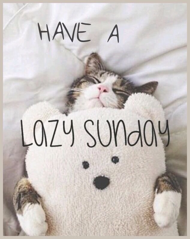 Sunday Morning Memes