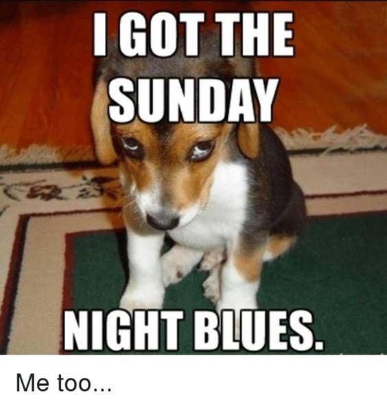 Sunday Morning Memes