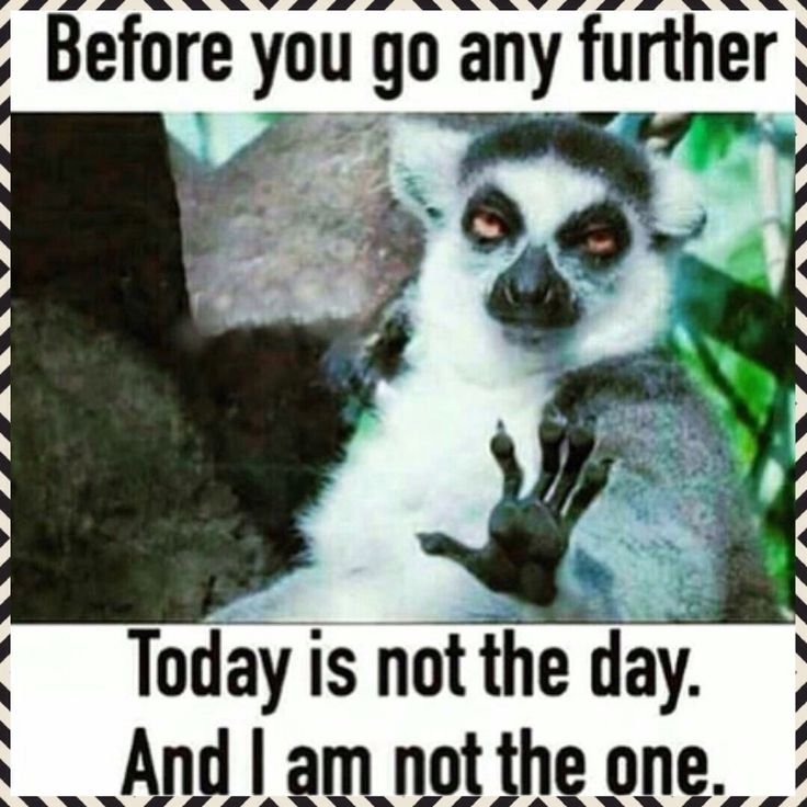 5094926f24922da8acb2b1f5412f7b50 funny wednesday memes