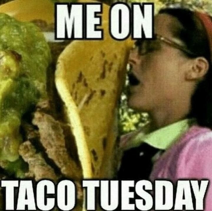 taco tuesday memes