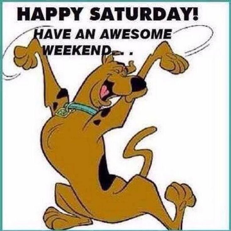 6090d782d4609f6d05028e79eb5f7d02 Funny Saturday Memes