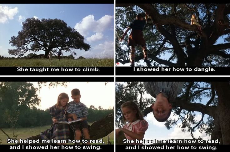 774b3925a1628d6960b416eafb86c5ce Forrest Gump Memes