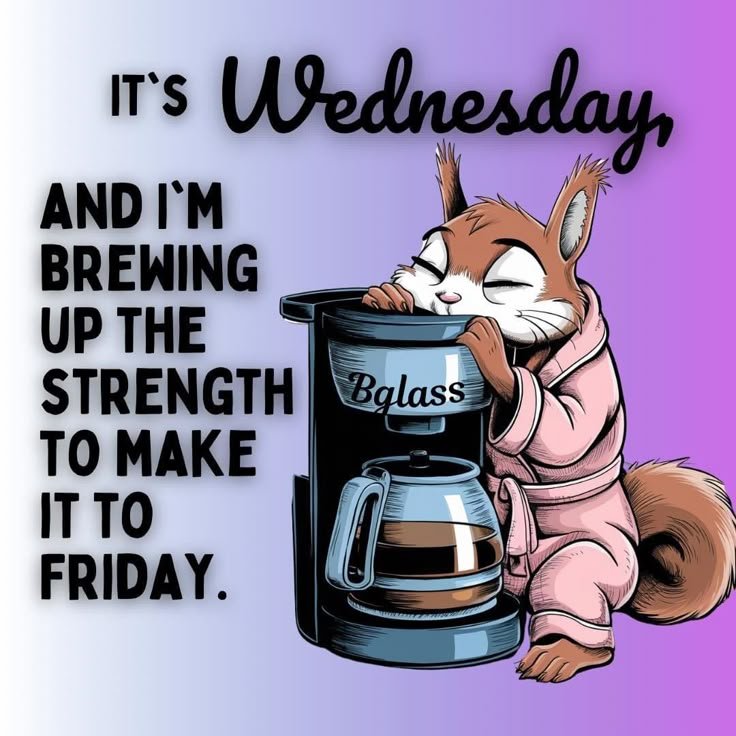 8f6788452faf9a63d4fc4e8080adcdbd Funny Wednesday Memes