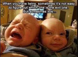 funny sunday memes