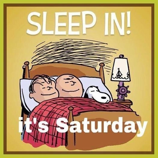 9a7a9c91b6e17adce75f7ff51faff235 Funny Saturday Memes