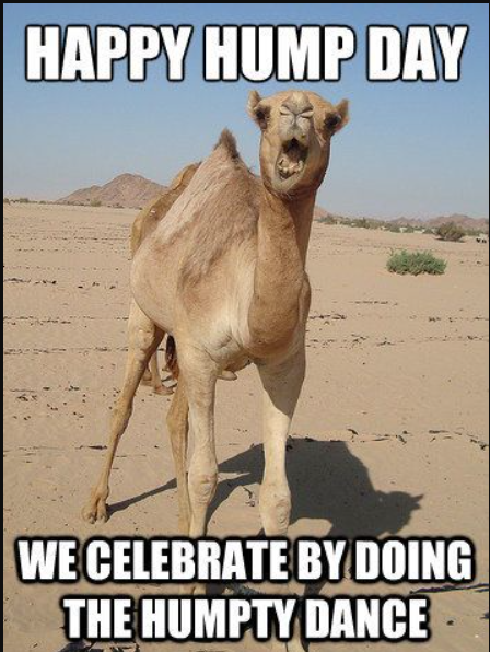 Funny Wednesday Memes
