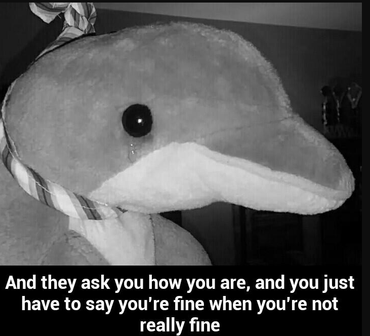 Dark Humor Memes