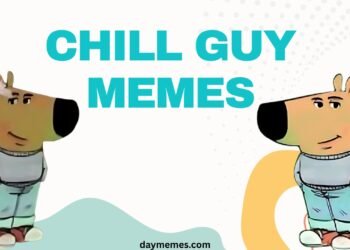 Chill Guy Memes